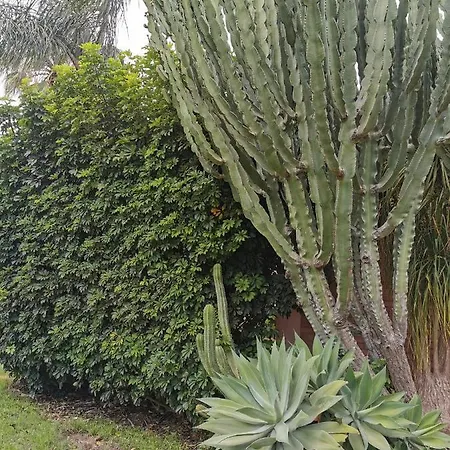 Grande Bed & Breakfast 4*