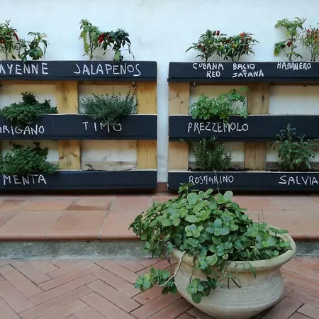 Bed & Breakfast Grande Messina