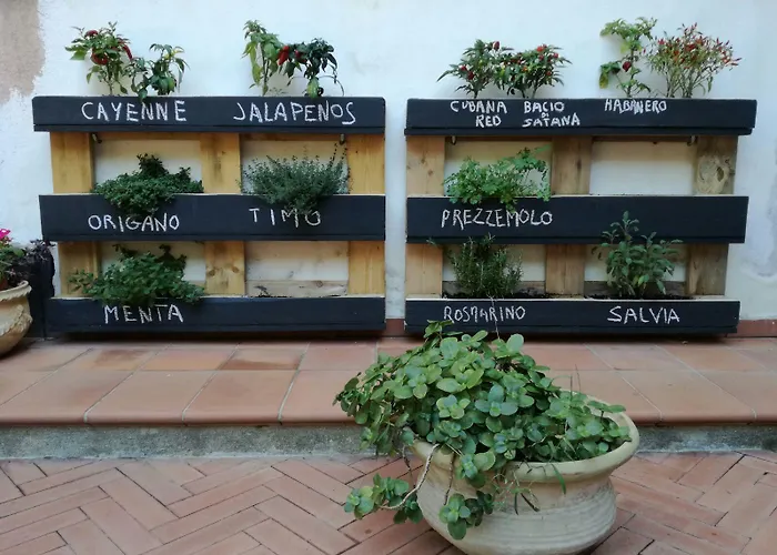 Bed and breakfast Grande Mesina